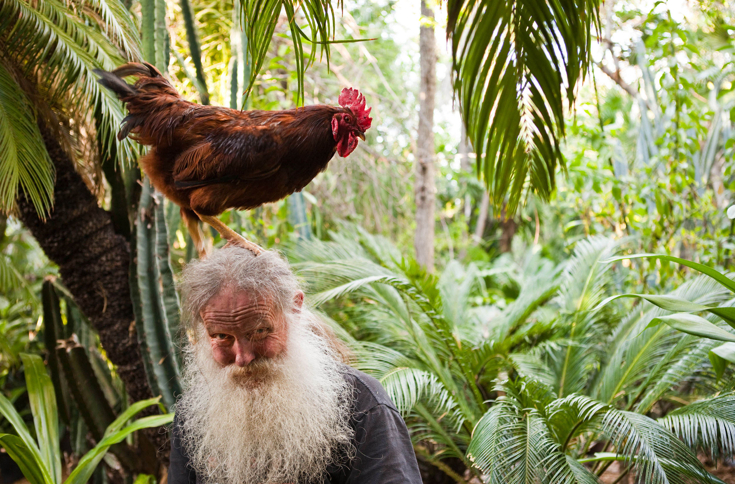 Tim Dundon, Compost Wizard, and His Rooster Elvis, by Commercial Photographer Michael Weschler